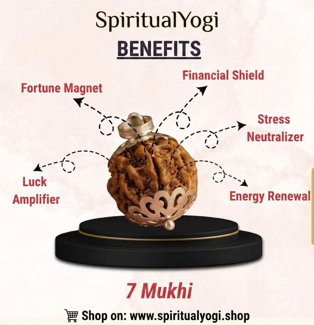 Original 7 Mukhi Nepali Rudraksha Pendant in Silver Capping – Sacred Mahalakshmi Bead for Wealth, Luck & Stress Relief(15mm to 19mm)