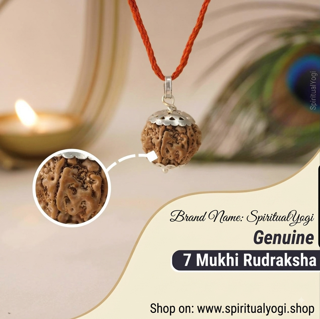 Original 7 Mukhi Nepali Rudraksha Pendant in Silver Capping – Sacred Mahalakshmi Bead for Wealth, Luck & Stress Relief(15mm to 19mm)