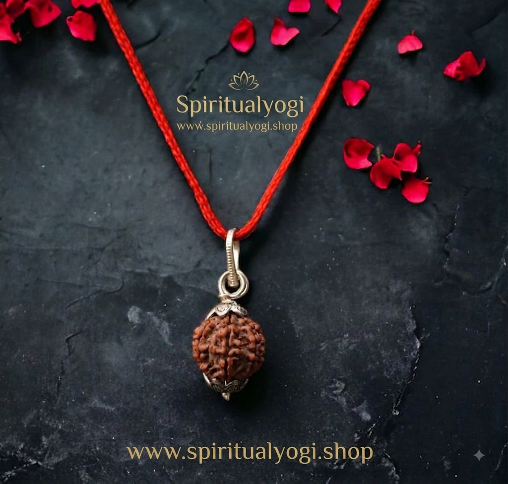 Original 7 Mukhi Nepali Rudraksha Pendant in Silver Capping – Sacred Mahalakshmi Bead for Wealth, Luck & Stress Relief(15mm to 19mm)