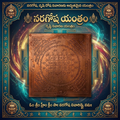Sacred Naragosha Yantra on Pure Copper Plate – For Home & Business Vastu Protection, Drishti Nivaran