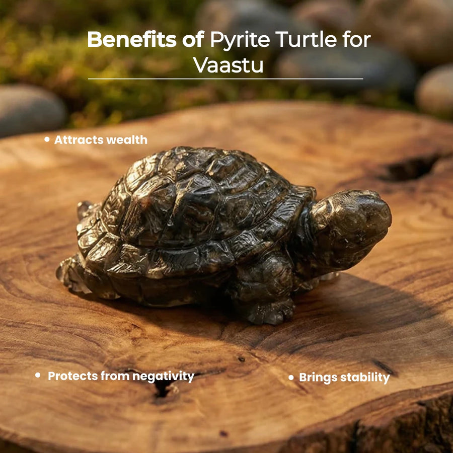 Natural Pyrite Turtle Figurine for Vastu & Hand-Carved Pyrite Tortoise for Wealth, Protection, and Stability