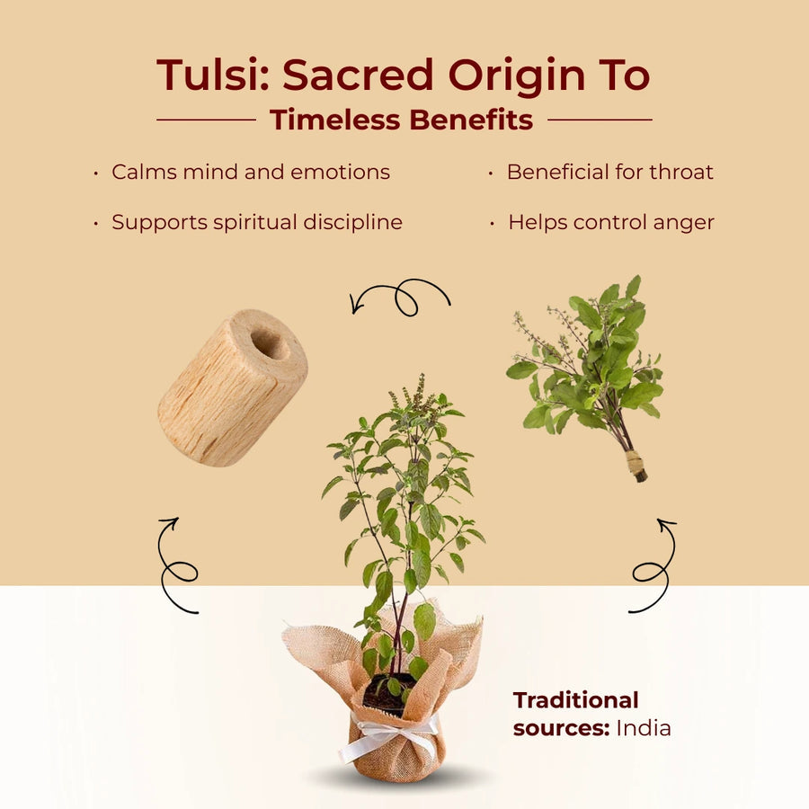Original Tulsi Japa Mala (108+1 Beads) – 100% Pure & Natural Holy Basil Wood Beads for Daily Chanting, Meditation & Spiritual Healing (Handcrafted, Knotted)